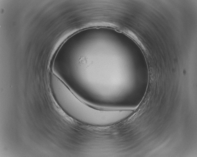 X0000062621140200512210905