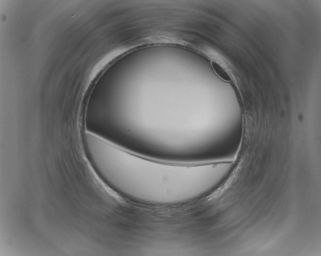 X0000062621141200512210905