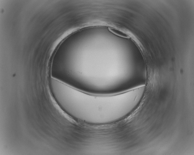 X0000062621142200512210905