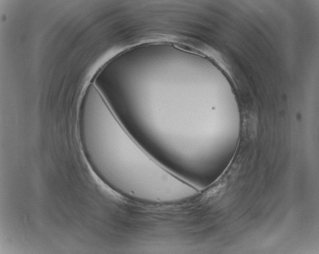 X0000062621143200512210905