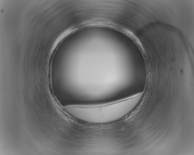 X0000062621146200512210905