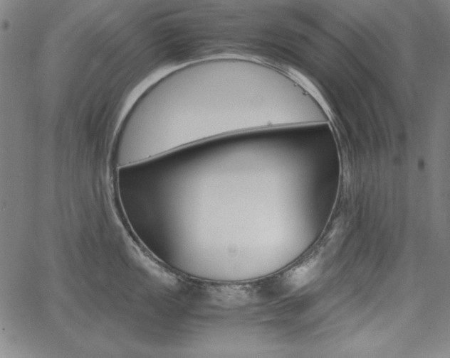 X0000062621149200512210905