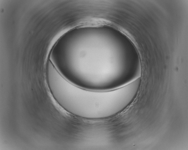 X0000062621152200512210906