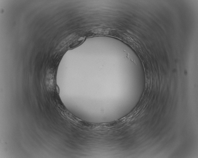 X0000062621154200512210905