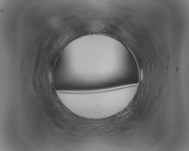 X0000062621155200512210905