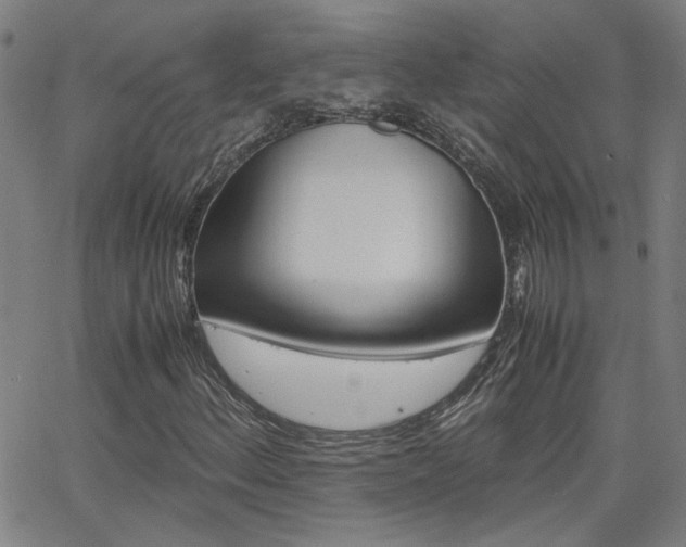 X0000062621156200512210905