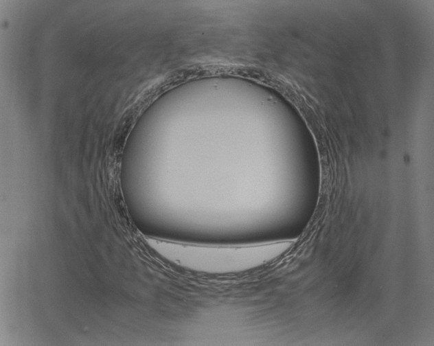 X0000062621157200512210905
