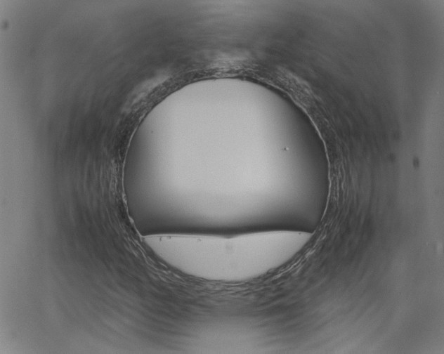 X0000062621158200512210905