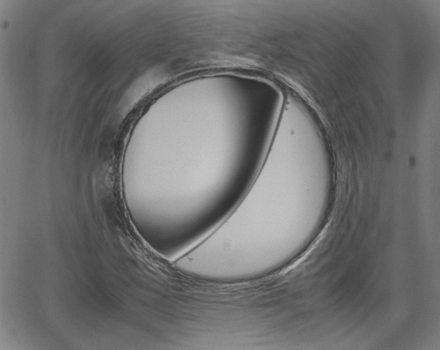 X0000062621163200512210905