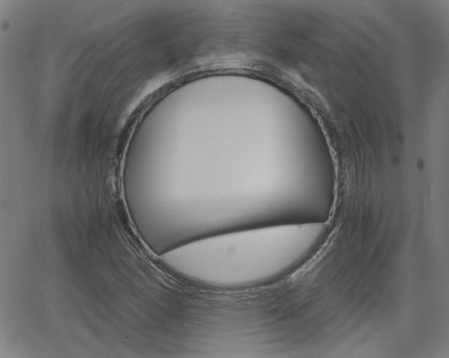 X0000062621166200512210904