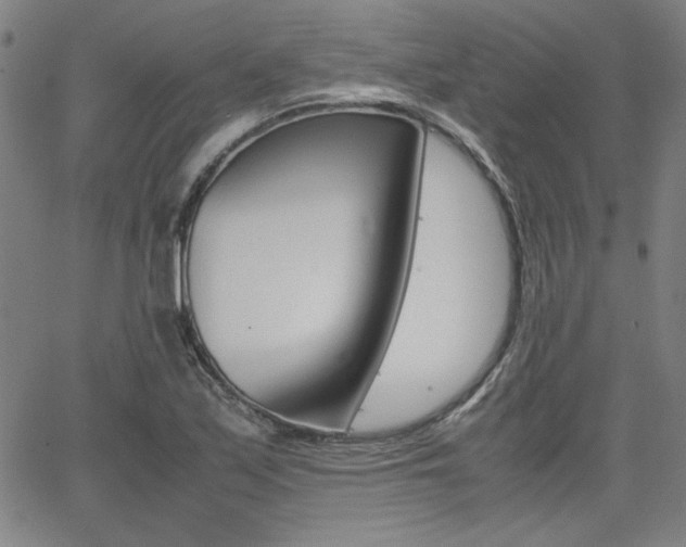 X0000062621171200512210904