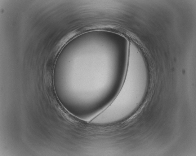 X0000062621177200512210904