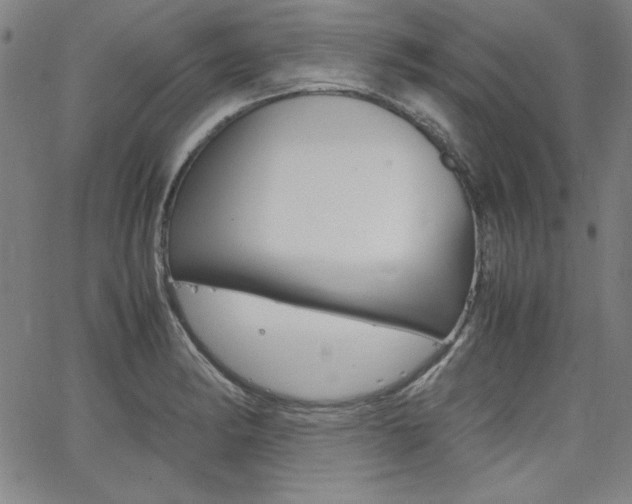 X0000062621182200512210904