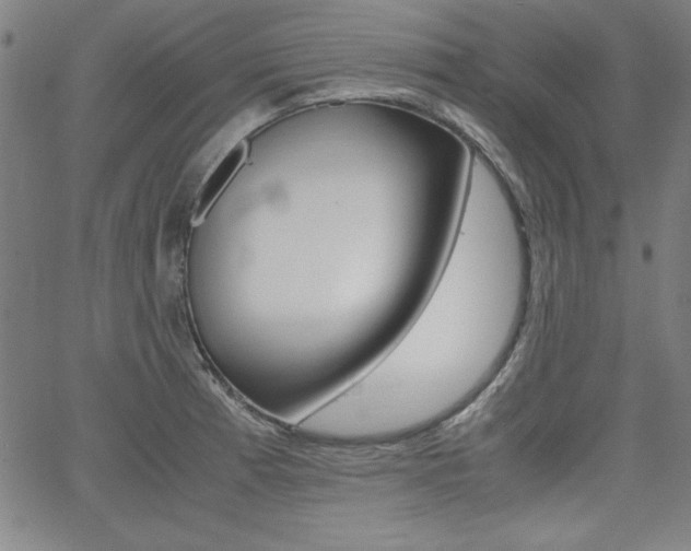 X0000062621185200512210904
