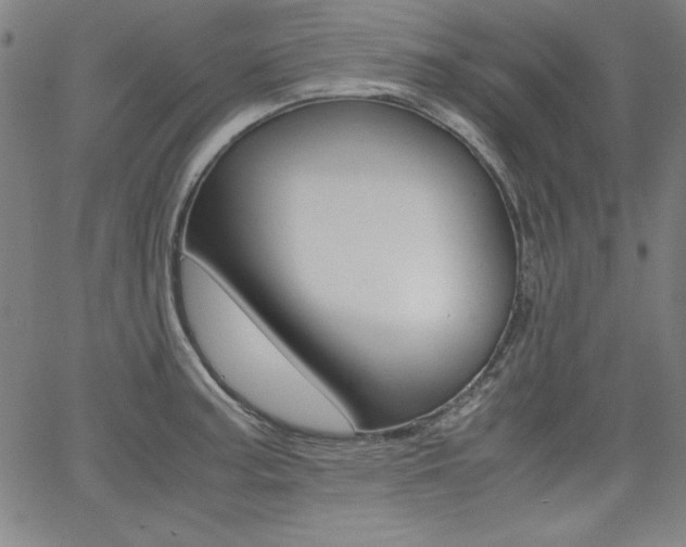 X0000062621187200512210904