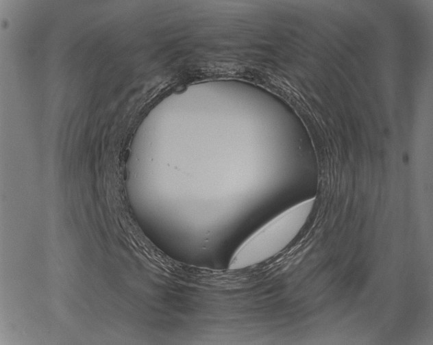 X0000062621201200512210903