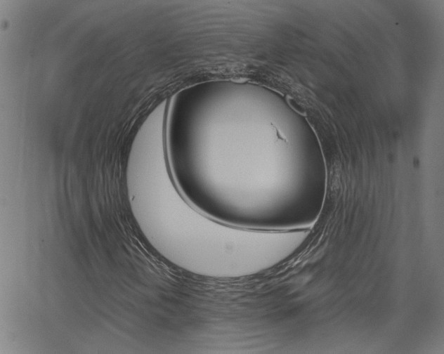 X0000062621202200512210903