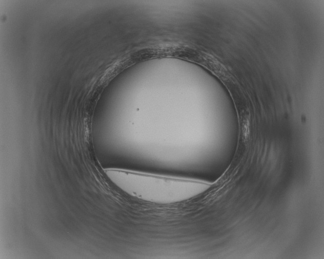 X0000062621204200512210903