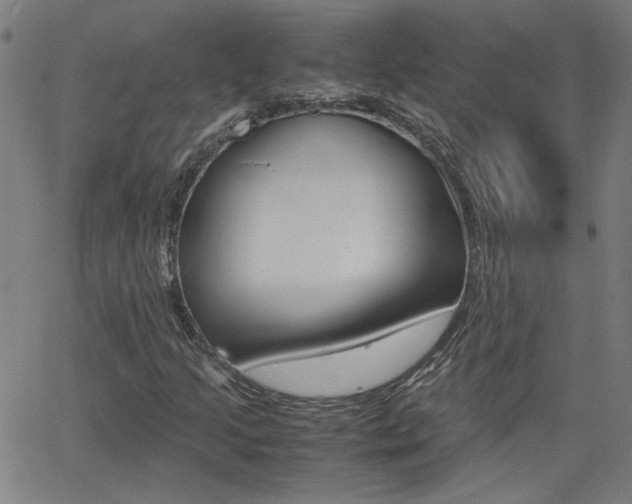 X0000062621205200512210903