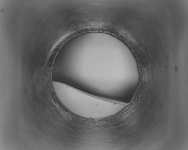 X0000062621208200512210903