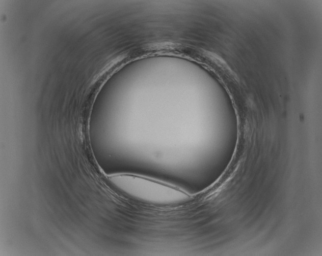X0000062621209200512210903