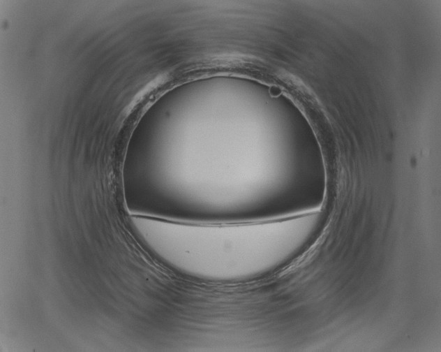 X0000062621210200512210903