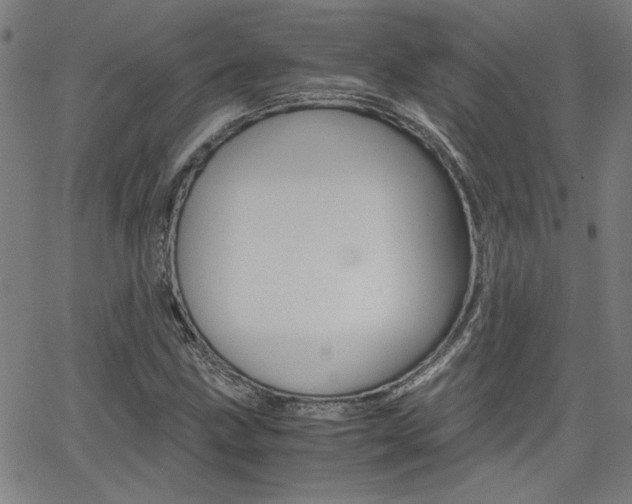 X0000062621211200512210903
