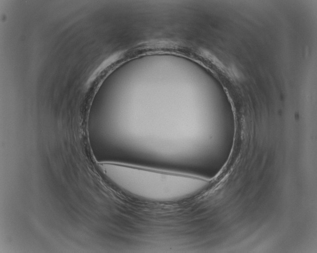 X0000062621213200512210903