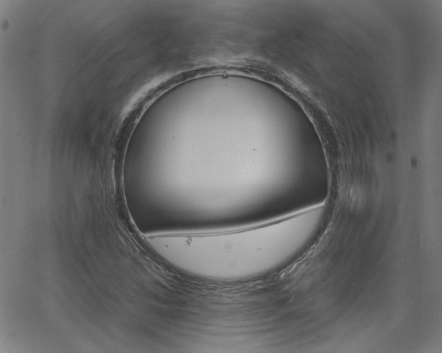 X0000062621214200512210903