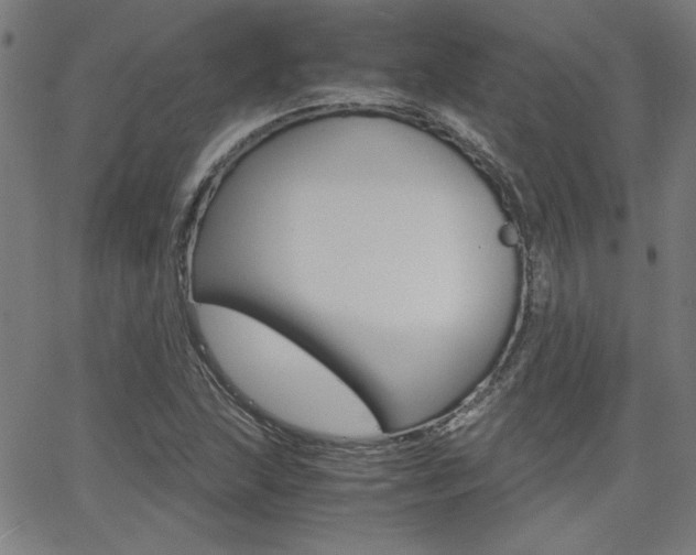 X0000062621215200512210903