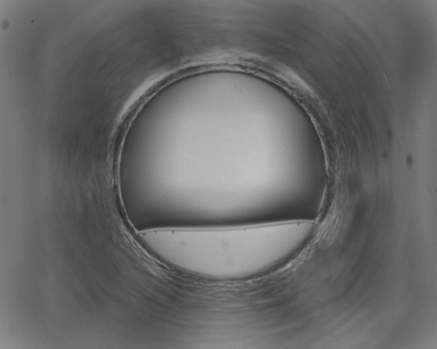 X0000062621216200512210903