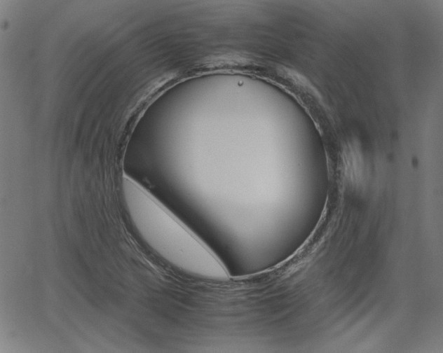 X0000062621217200512210903