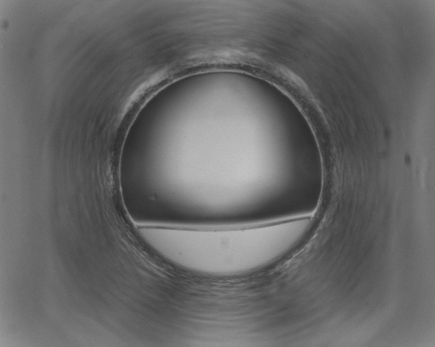 X0000062621218200512210903