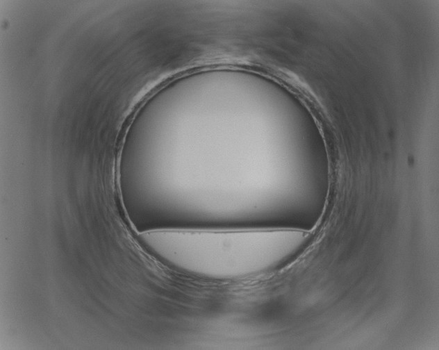 X0000062621220200512210903