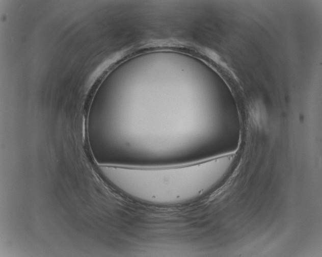 X0000062621221200512210903