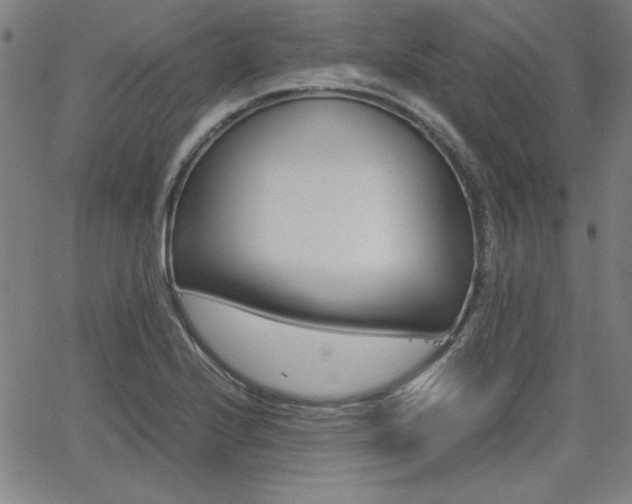 X0000062621224200512210903