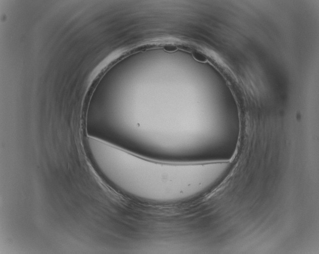 X0000062621229200512210904