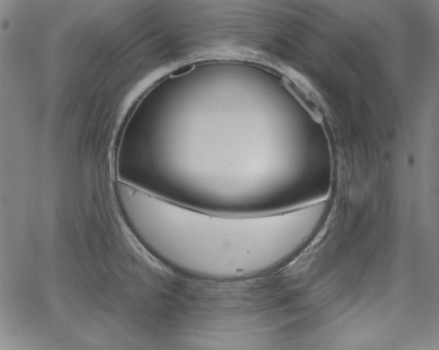 X0000062621238200512210904