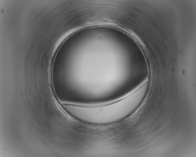 X0000062621246200512210904