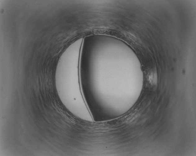 X0000062621252200512210903