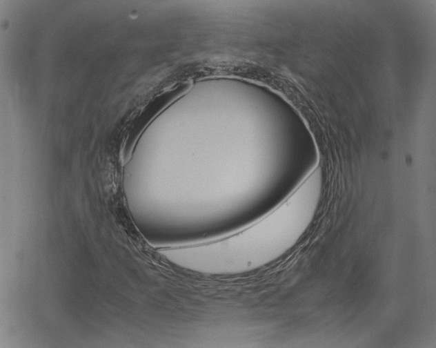 X0000062621253200512210903