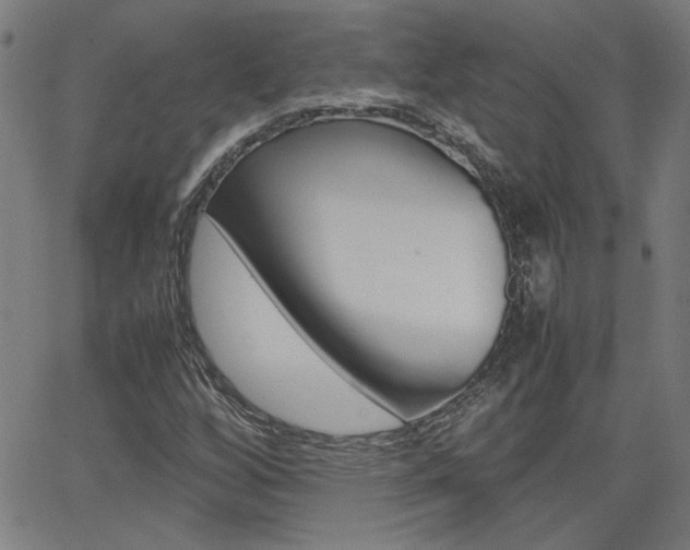 X0000062621256200512210903