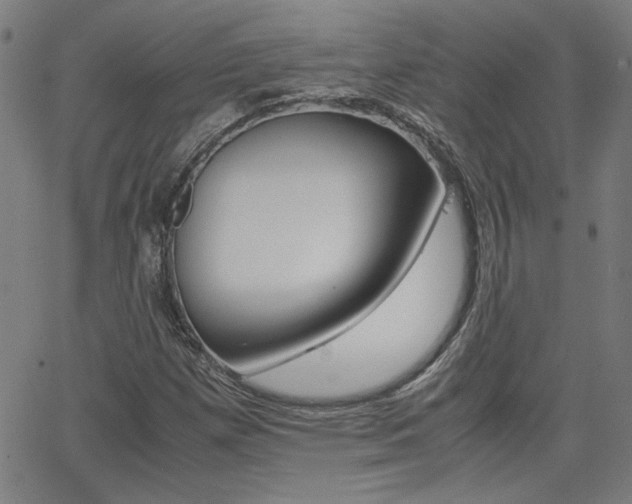 X0000062621257200512210903