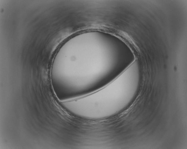 X0000062621260200512210903