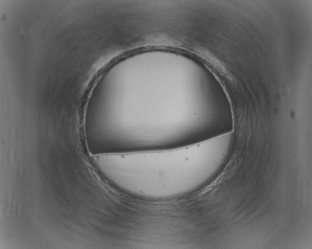 X0000062621264200512210903