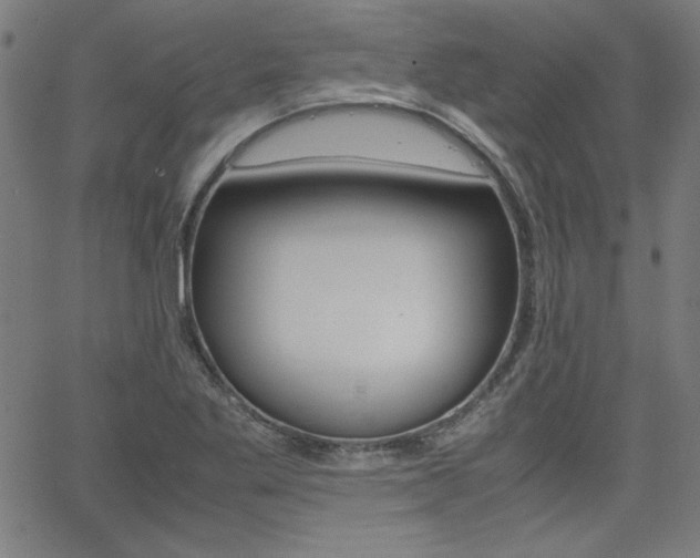 X0000062621269200512210903