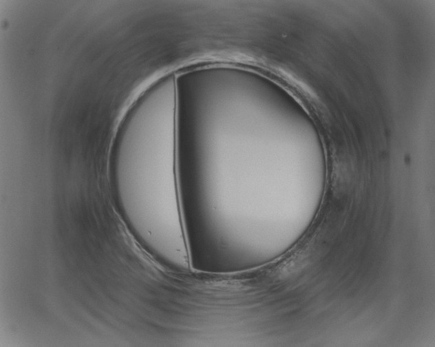 X0000062621272200512210903