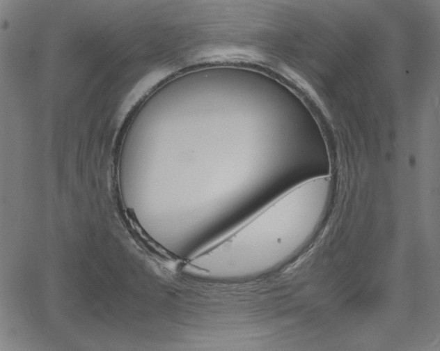 X0000062621277200512210903