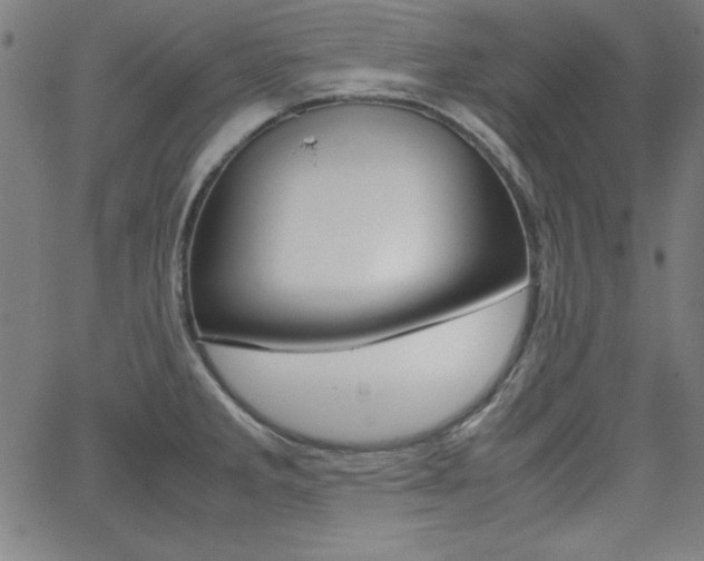 X0000062621285200512210902