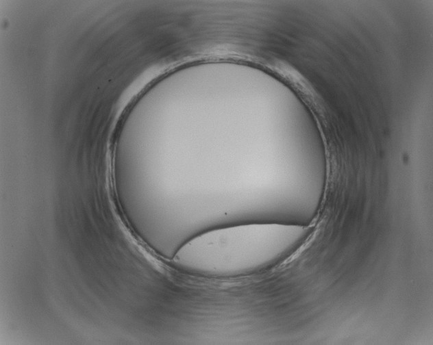 X0000062621286200512210902